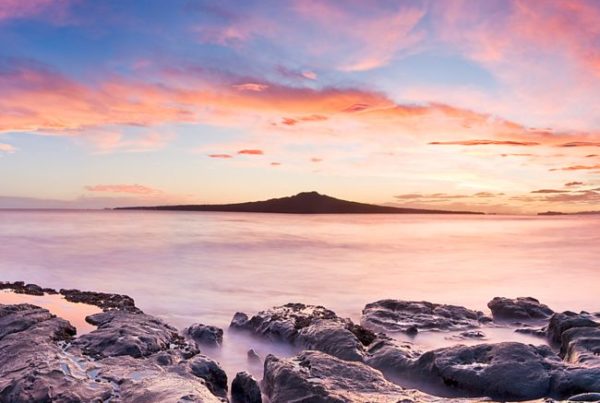 Experience: Five day trips from Auckland